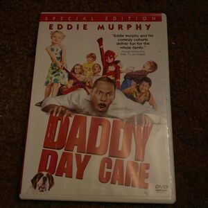 Daddy day care